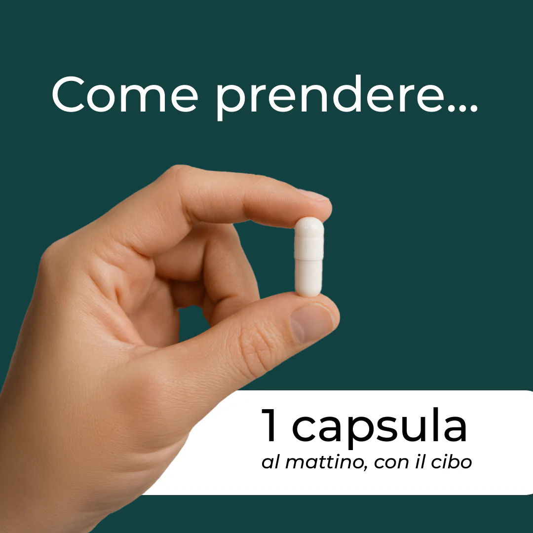 Miniatura 9